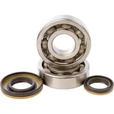 HOT RODS Crankshaft Bearing & Oil Seal Kit for Suzuki RM250