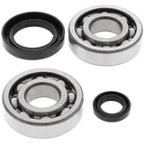ALL BALLS Crankshaft Bearing & Oil Seal Kit for Honda CR500R