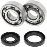 ALL BALLS Kurbelwellenlager & Simmerringsatz für Yamaha YZ125 24-1025