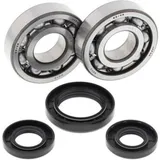 ALL BALLS Crankshaft Bearing & Oil Seal Kit for Yamaha YZ250
