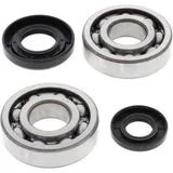 ALL BALLS Kurbelwellenlager & Simmerringsatz für Yamaha YZ250 24-1029