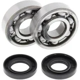 ALL BALLS Crankshaft Bearing & Oil Seal Kit for Fantic XE125, XX125 Yamaha TT-R125, YZ125