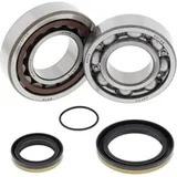 ALL BALLS Crankshaft Bearing & Oil Seal Kit for KTM, Husqvarna, Husaberg
