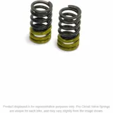 PRO CIRCUIT Valve Springs for Kawasaki KLX110