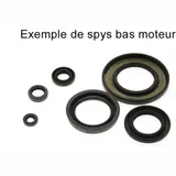 CENTAURO Oil Seal set for Honda CRF450R 666A220SR
