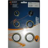 TECNIUM Engine Oil Seals Set for KTM 125EXC, 125SX TECNIUM Engine Oil Seals Set for KTM 125EXC, 125SX