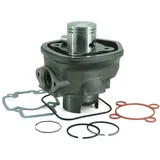 TECNIUM Cylinder Kit - for: Piaggio for Aprilia, Gilera