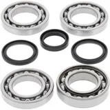 All Balls Kit Differentiallager & Dichtungen für: Polaris SPORTSMAN XP850 für RANGER325, SCRAMBLER1000, SCRAMBLER850
