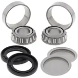 Lagerkit für Hinterradschwingen: für: HONDA GL1100 80-83 ,1200 84-87, VF750 82-84, 1100 83-86 Arctic CAT, Polaris
