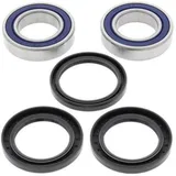 RADLAGER-KIT MTSALL BALLS HINTERRAD für QUAD E TON VXL250VECTOR