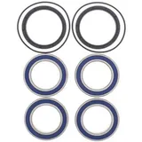Radlager-Kit Hinterrad All Balls für Suzuki LT-R450 LT-R450QUADRACER