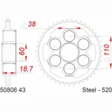 AFAM Standard Stahlritzel hinten 50806 - 520 für Ducati PANIGALEV2, SUPERSPORT
