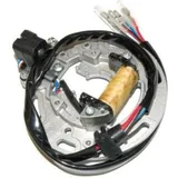 ELECTROSPORT Stator - für Kawasaki KX100, KX80
