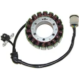 ELECTROSPORT Stator - für: Aprilia RSV1000/Tuono für TUONO1000