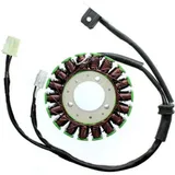 ELECTROSPORT Stator - für: Triumph 675 für DAYTONA675, STREETTRIPLE675