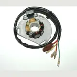 ELECTROSPORT Stator - für: KTM für 125EXC, 125SUPERMOTO, 125SX
