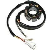 ELECTROSPORT Stator - for: KTM for Husaberg, Beta