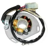 ELECTROSPORT Stator mit Magnetspule Coil - für: KTM für 125SX, 125SXS, 144SX