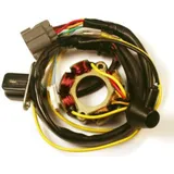 ELECTROSPORT Stator mit Magnetspule - für Suzuki RM-Z250 Kawasaki KX250F ESL740