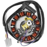 TECNIUM Stator für Yamaha DT50R, TZR50 MBK X-POWER