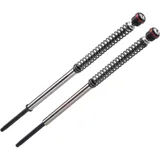 BITUBO JBH01 Cartdrige Kit for Suzuki GSX-S1000, KATANA