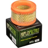 HIFLOFILTRO Air Filter - HFA7101 for: BMW C1 125