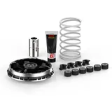 MALOSSI Multivar 2000 Variator für BMW C400GT