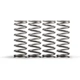 HINSON High-Temp Clutch Springs Box of 5 - für Honda CRF250R