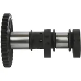 HOT CAMS Camshaft Intake - Stage 2 HOT CAMS Camshaft Intake - Stage 2
