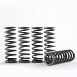 HINSON Hochtemperatur Feder-Kit für Kupplung für: Kawasaki KLX450