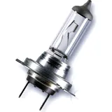 Glühbirne Birne Lampe H7 12V55W 64210