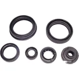 Engine oil seal kit P400510400045