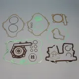 Complete gasket / seal kit P400250850253