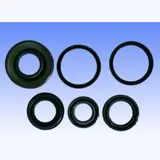Engine oil seal kit P400485400002