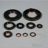 Engine oil seal kit OSL210