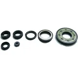Engine oil seal kit OSL114