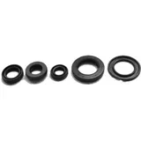 Engine oil seal kit OSL230
