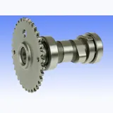 Standard camshaft