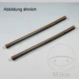 Fork springs 3010