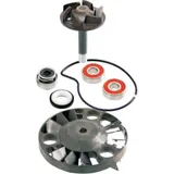 Water pump repair kit 100110070