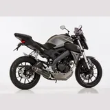 Street GP complete exhaust system for: YAMAHA MT-125 RE29, YZF-R125 RE29