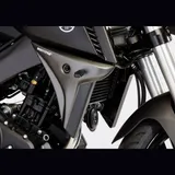 Kühlerseitenverkleidung - rot/schwarz Kühlerseitenschutz für: YAMAHA MT-125 RE11
