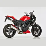 DSX-7 slip on exhaust - silver for: SUZUKI SV 650 WCX0/WCX1, SV 650 X WCX0/WCX1