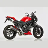 Rac 1 slip on exhaust for: SUZUKI SV 650 WCX0/WCX1, SV 650 X WCX0/WCX1