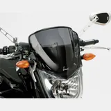 Naked bike screen for: YAMAHA FZ1 RN16