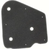 Air filter 100600030