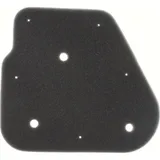 Air filter 100600060