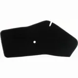Air filter 100600230
