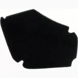 air filter 100600430