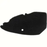 Air filter 100600460